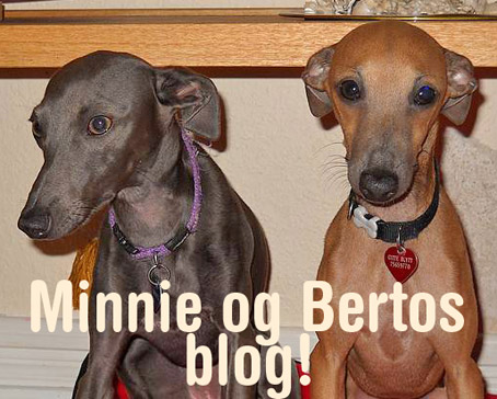 Minnie og Bertos side!